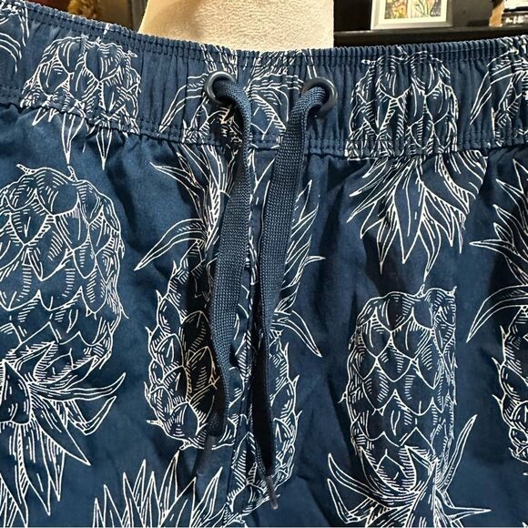 Lauren James Blue Pineapple Print Shorts Size Large - Picture 4 of 10
